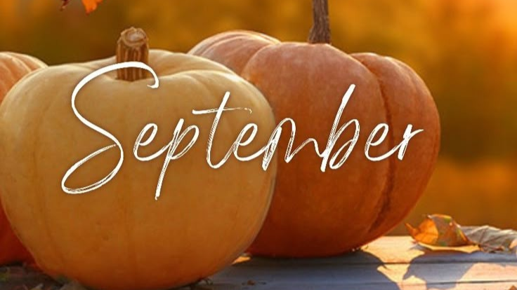 Petra´s Newsletter September 2025