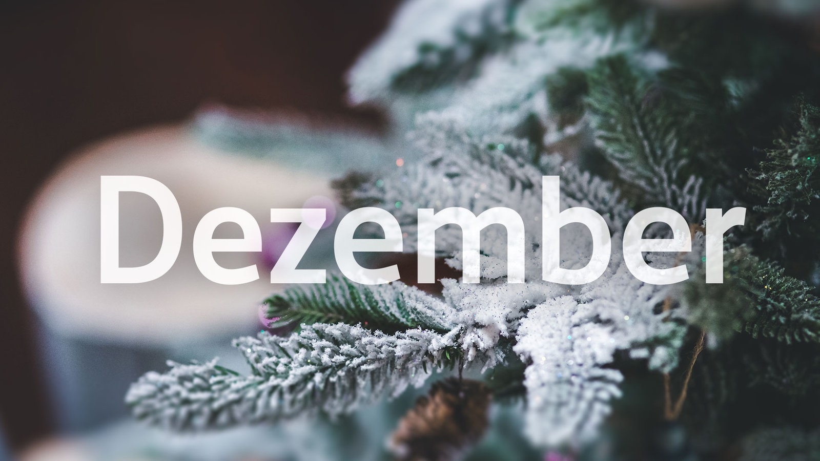 Petra´s Newsletter Dezember 2025