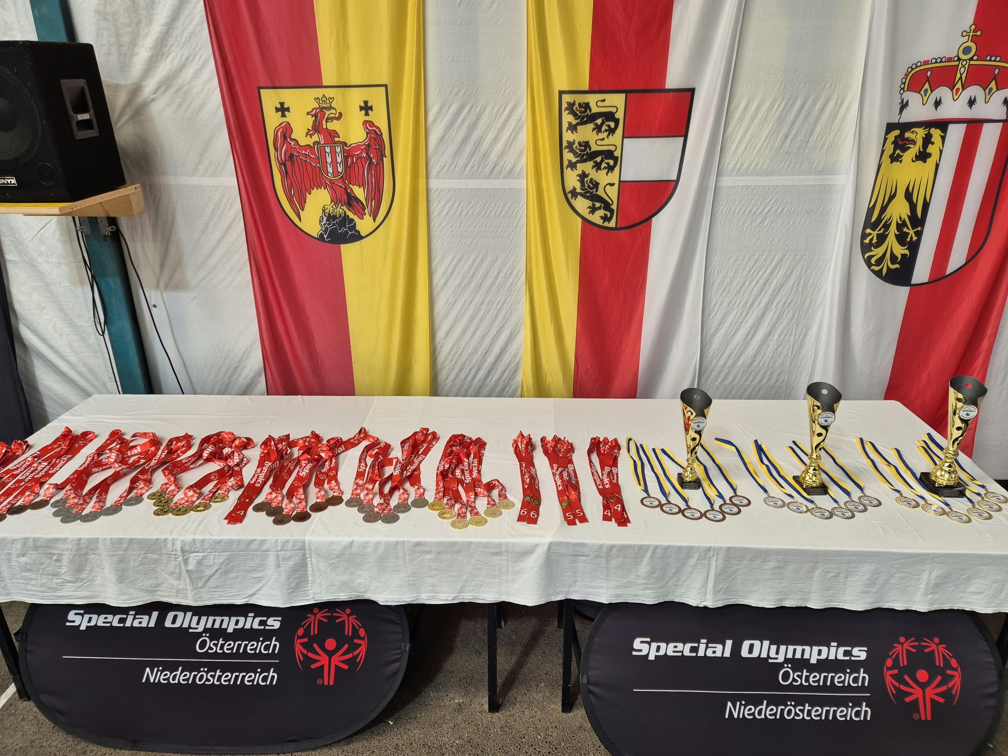 4. Offene Landesmeisterschaften der Special Olympics im Stocksport 4. Offene Landesmeisterschaften der Special Olympics im Stocksport